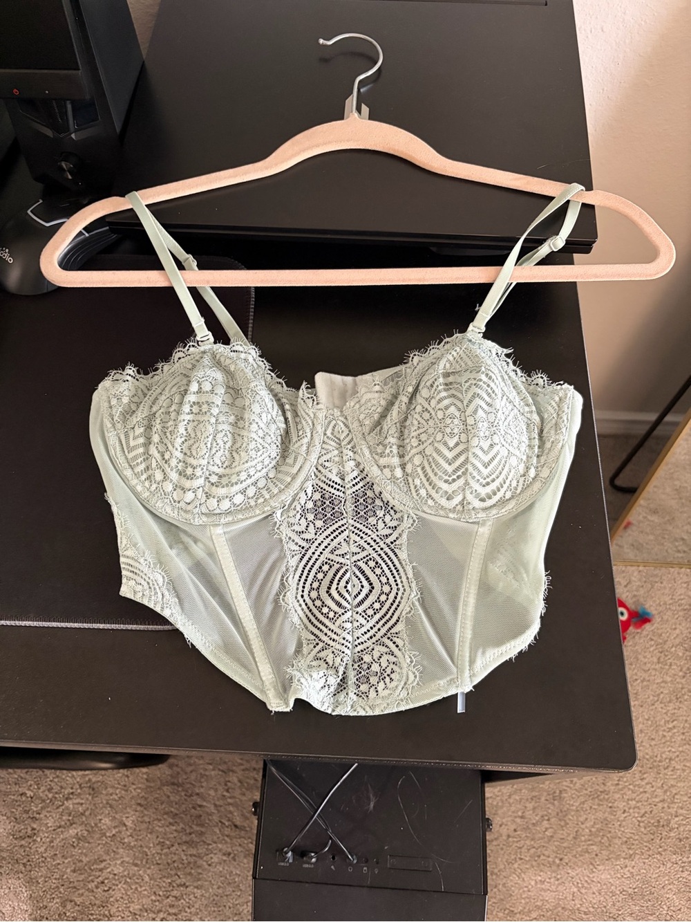 Garage Sage Lace Bustier Bra